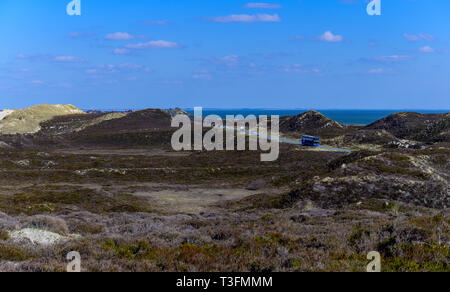 08. April 2019, Schleswig-Holstein, List/Sylt: Die Sonne scheint auf den Dünen an der Westküste von Sylt. Foto: Axel Heimken/dpa Stockfoto