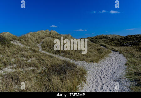 08. April 2019, Schleswig-Holstein, List/Sylt: Die Sonne scheint auf den Dünen an der Westküste von Sylt. Foto: Axel Heimken/dpa Stockfoto