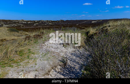 08. April 2019, Schleswig-Holstein, List/Sylt: Die Sonne scheint auf den Dünen an der Westküste von Sylt. Foto: Axel Heimken/dpa Stockfoto