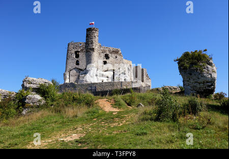 Ruinen der Burg in Mirow Stockfoto