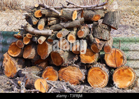 Stapel von Brennholz im Freien. Stapel der Schnitt Obstbaum-Protokolle. Brennholz Hintergrund Stockfoto