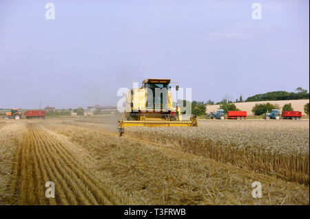 Eine grosse New Holland Mähdrescher schneiden Stroh auf einem Bauernhof in Warwickshire. 25.07.2006 Stockfoto