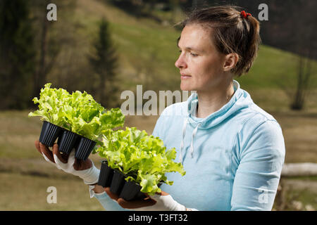 Frau Gärtner ihr und salatpflänzlinge beobachten vorbereitet auf Ihren Garten gepflanzt zu werden. Organische im Garten arbeitende, gesunde Ernährung, Selbstversorgung und Hausarbeit Konzept Stockfoto