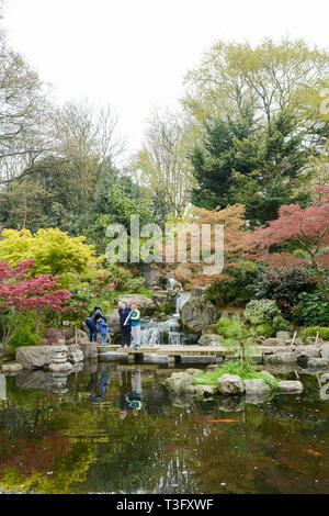 Der Kyoto Japanese Garden in Holland Park, Holland Park Avenue, Kensington, London, W11, England, Großbritannien Stockfoto