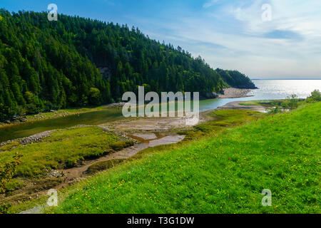 Blick auf den Big Salmon River, in den Fundy Trail Parkway Park, New Brunswick, Kanada Stockfoto