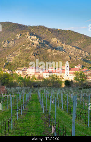 Dürnstein: Burgruine Dürnstein, Stift (Abtei) Dürnstein, Donau, Weingut in der Wachau, Niederösterreich, Lower Austria, Austria Stockfoto