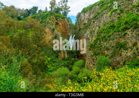 Blick auf die ayun Valley Nature Reserve, und die Tanur Wasserfall, im oberen Galiläa, im Norden Israels Stockfoto