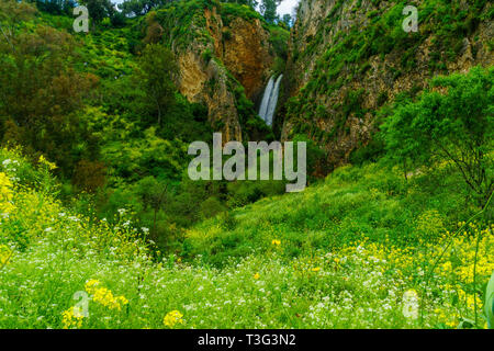 Blick auf die ayun Valley Nature Reserve, und die Tanur Wasserfall, im oberen Galiläa, im Norden Israels Stockfoto