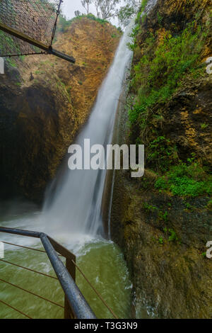 Blick auf den Tanur Wasserfall, in der ayun Valley Nature Reserve, oberen Galiläa, im Norden Israels Stockfoto