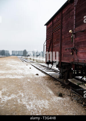 Viehtransporter verwendet Gefangene zu transportieren, Auschwitz Birkenau, Konzentrationslager, Vernichtungslager, Polen Stockfoto