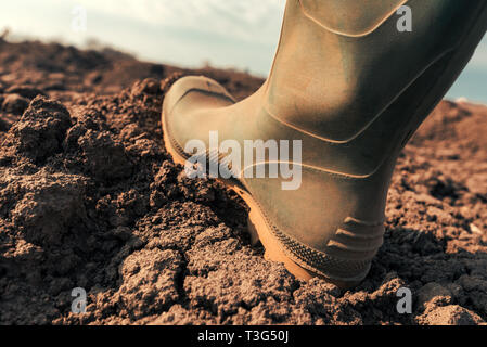Landwirt in Wellington Gummistiefel macht ersten Schritt im Feld, in der Nähe auf. Beginn der Landwirtschaftlichen Saison und Starten von Aktivitäten auf Ackerland. Stockfoto
