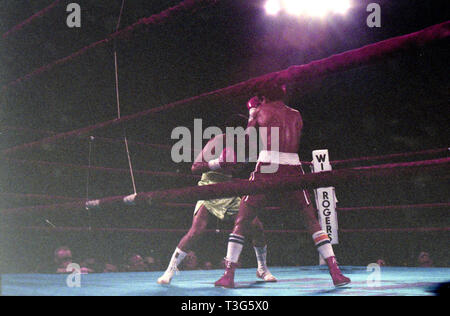 World Lightweight Champion Little Stevie Cruz im Boxkampf gegen Antonio Esparragoza März 6, 1987 Will Rogers Coliseum in Ft. Worth, Texas Stockfoto