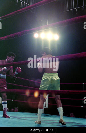 World Lightweight Champion Little Stevie Cruz im Boxkampf gegen Antonio Esparragoza März 6, 1987 Will Rogers Coliseum in Ft. Worth, Texas Stockfoto