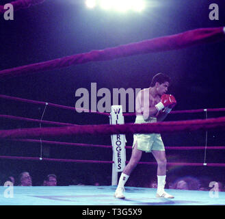 World Lightweight Champion Little Stevie Cruz im Boxkampf gegen Antonio Esparragoza März 6, 1987 Will Rogers Coliseum in Ft. Worth, Texas Stockfoto