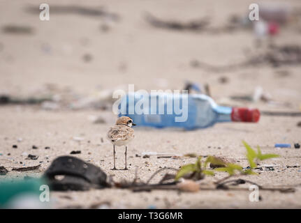 Die Zerstörung der Erde Stockfoto