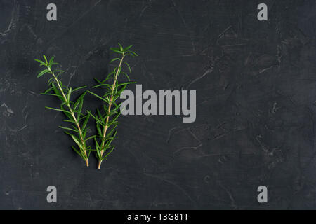 Frischem Rosmarin Kraut auf dem dunklen Hintergrund. Ansicht von oben Rosmarin Stockfoto