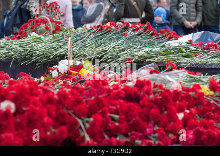 Russland, Izhevsk - Mai 9, 2018: Meer der rote Nelken zum Gedenken an die gefallenen Soldaten im Zweiten Weltkrieg. Sieg in Europa. Stockfoto