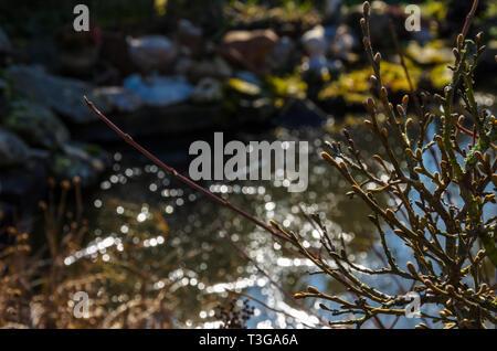 Stürmisches Wetter am Strand Stockfoto
