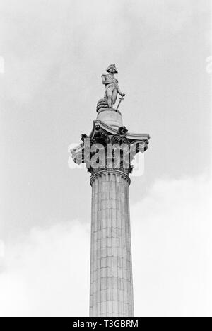 Nelsons Column, Trafalgar Square, London, England, Vereinigtes Königreich, Stockfoto