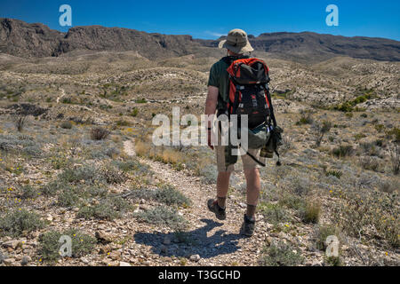 Wanderer bei Mariscal Canyon Rim Trail, Chihuahuan Wüste Grenzland, Big Bend National Park, Texas, USA Stockfoto