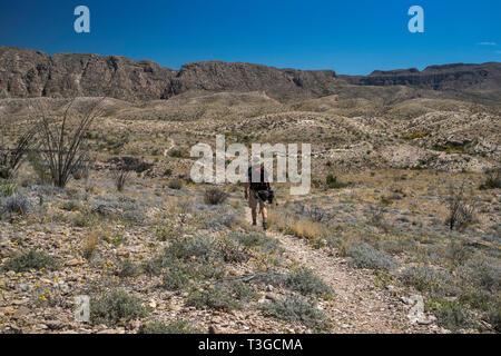 Wanderer bei Mariscal Canyon Rim Trail, Chihuahuan Wüste Grenzland, Big Bend National Park, Texas, USA Stockfoto