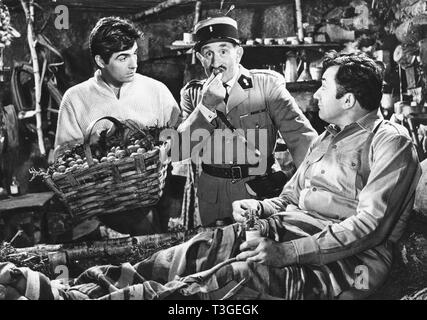 Le Gendarme de Champignol der Gendarm von Champignol Jahr: 1959 - Frankreich Noel Roquevert, Jean Richard, Roger Pierre Regie: Jean Bastia Stockfoto