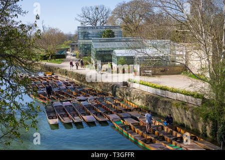 Oxford Botanic Gardens im frühen Frühling mit traditionellen Stocherkähne auf dem Fluss Cherwell Stockfoto