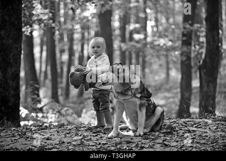 Freunde Mädchen und Hund spielen im Herbst Wald. Freunde Kind und Husky spielen an der frischen Luft in den Wäldern im Freien Stockfoto