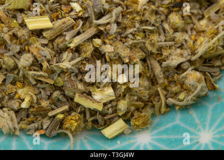 Wermutkraut Kraut detail, gesunde Blätter Naturheilkunde Stockfoto