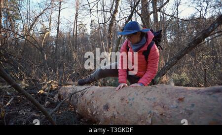 Junge Frau Tourist mit einem Rucksack Schritten über einen umgestürzten Baum im Wald mit einem Rucksack. Thema wandern Tourismus in den Wald. Die Überwindung difficultie Stockfoto