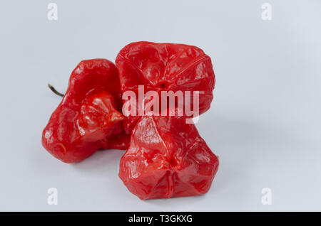 Drei rote Chilischoten auf weißem Hintergrund. Pfeffer. Chili Pfeffer. Stockfoto