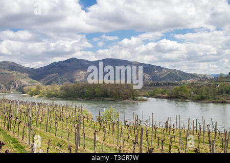 Panoramaweg Achleiten, Weißenkirchen in der Wachau, Österreich Stockfoto