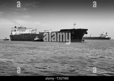 Schwarz-weiß-Foto von Foss Maritime Schleppbooten, die den Supertanker, ALASKAN NAVIGATOR, führen, während er den Hafen von Long Beach, Kalifornien, USA erreicht Stockfoto