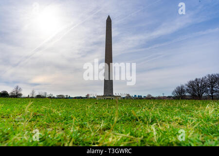 Washington Monument mit grünem Gras Feld in Washington DC, USA. Stockfoto
