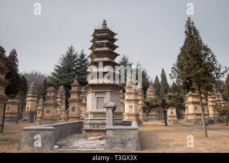 Dengfeng, Henan/China - Januar 20, 2019: Talin Pagoden, It's Memorial des Hohenpriesters des Shaolin Tempels. In dem Teil des Shaolin Tempels, Sohn Stockfoto
