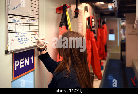 Aquarianer Cody Townsend Updates eine Dichtung medizinisches Diagramm in der Dichtung Krankenhaus im SEA LIFE Hunstanton. Stockfoto