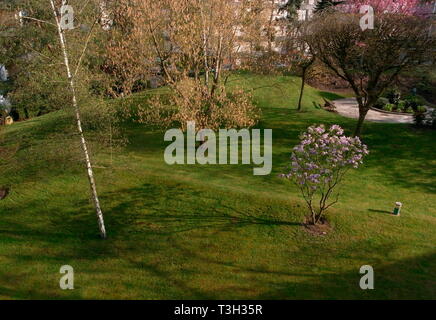 AJAXNETPHOTO. 2008. LOUVECIENNES, FRANKREICH. - FRÜHLING - PRIVATER GARTEN FÜR DIE BEWOHNER VON WOHNUNGEN IN EINEM GEBIET AUF HÖHEN NORDÖSTLICH DES DORFZENTRUMS MIT BLICK AUF DIE SEINE; EINER VON VIELEN ORTEN IN DER GEGEND, DIE VON IMPRESSIONISTISCHEN MALERN DES 19. JAHRHUNDERTS WIE ALFRED SISLEY, CAMILLE PISSARRO, AUGUSTE RENOIR UND ANDEREN VOR DER MODERNEN NEUGESTALTUNG DER LANDSCHAFT BESUCHT WURDEN. FOTO: JONATHAN EASTLAND/AJAX REF: GR080804 658 Stockfoto