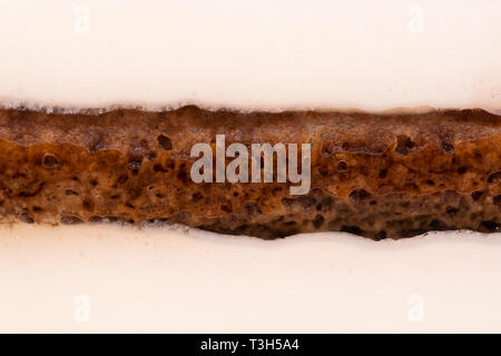 Seite eines Tiramisu italienische Dessert Makroaufnahme mit den verschiedenen Schichten von Mascarpone und Keks/Abblendlicht Stockfoto