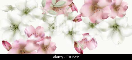 Cherry Blumen Aquarell Vektor. Zarte spring blossom Hintergrund Stock Vektor