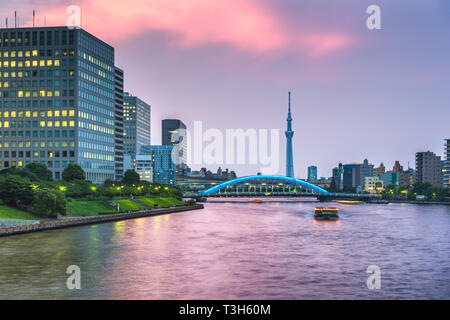 Tokio, Japan Skyline auf dem Sumida River in der Nacht. Stockfoto