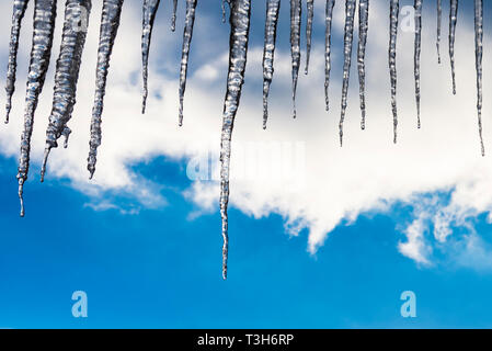 Schmelzenden Eiszapfen an einem sonnigen Wintertag in Österreich Stockfoto