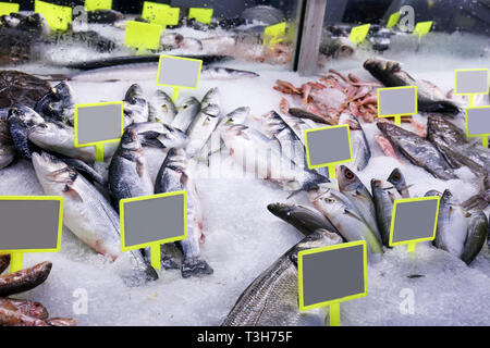Frischen Fisch auf Eis und Preisschilder auf dem Markt begegnen. Close Up. Stockfoto