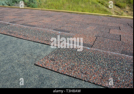 Schließen bis zur Installation von Dachziegeln, Asphaltschindeln. Dach- konstruktion. Stockfoto