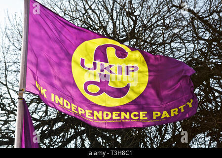 Die UKIP, UK Independence Party Flagge. UKIP Flagge. Stockfoto