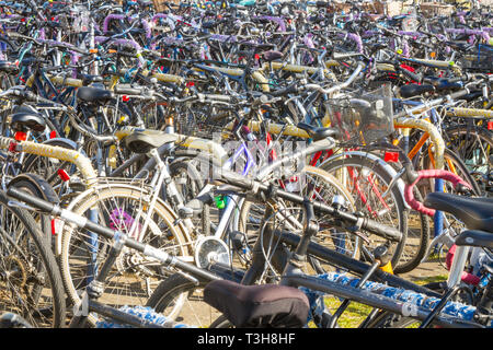 Ein Wald von geparkten Fahrräder außerhalb Oxford Bahnhof Stockfoto