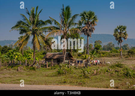 Ein typisches Dorf Wohnung in der Provinz Siem Reap, Kambodscha Stockfoto