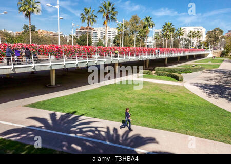 Jardín del Turia Valencia Brücke Puente de las Flores Valencia Blumenbrücke, Turia Gärten Valencia Stadt Spanien Europa Brücken Stockfoto