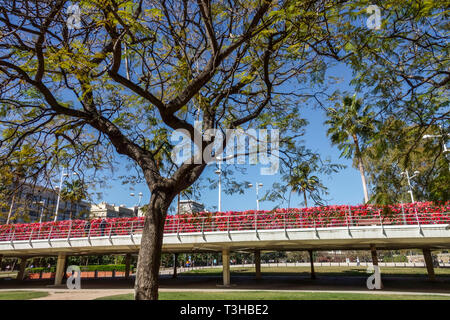 Puente de las Flores, Blume Brücke, Turia Gärten Valencia Spanien Europa Stockfoto