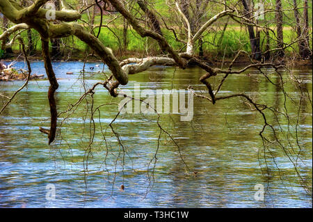 An den Ufern des Watauga River in Elizibabethton, Tennessee Stockfoto