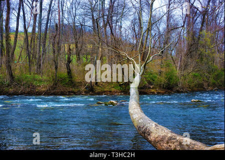 An den Ufern des Watauga River in Elizibabethton, Tennessee Stockfoto